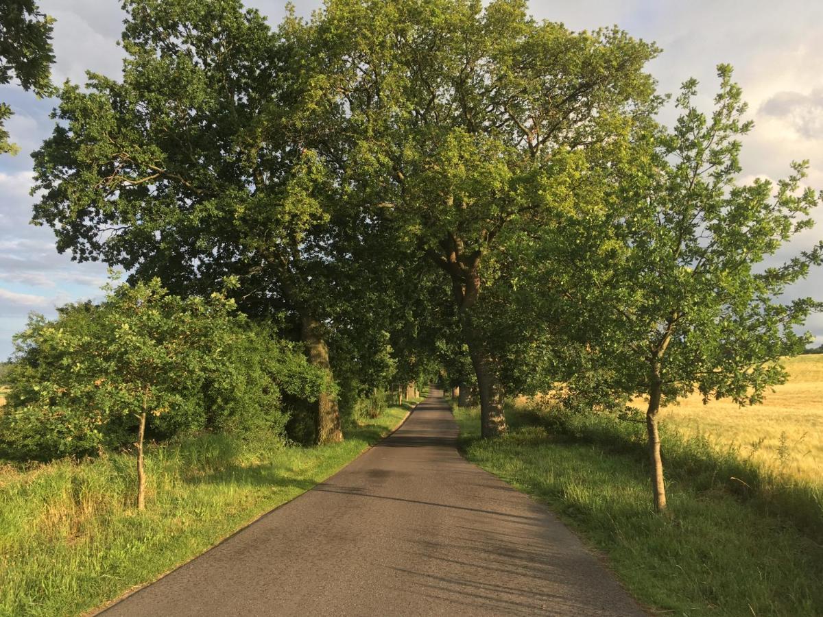 Dat Witte Hus Moritzdorf Ruegen Ferienwohnungen - Ruhige Lage Exterior foto